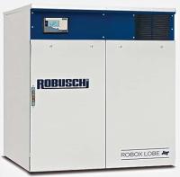 Воздуходувка роторная промышленная Robuschi ROBOX ES 45/2P